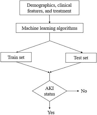 Using a machine learning model to predict the development of acute kidney injury in patients with heart failure